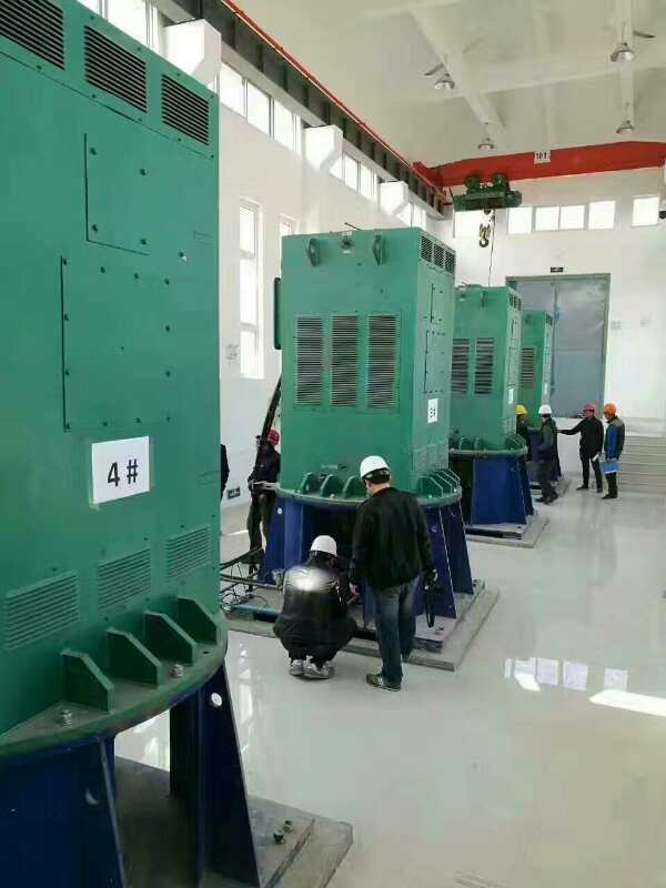 Y450-2C某污水处理厂使用我厂的立式高压电机安装现场