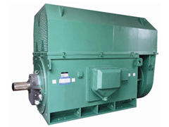 Y450-2CY系列6KV高压电机